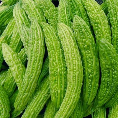 蔬菜水果 食用菌 粮油 花卉苗木 畜牧养殖 茶叶 中草药 肥料种业 农药/原药/杀菌剂 农机农具 渔业 加工机械 金属丝网制品 生态农业 包装印刷_瓜果类锄禾日当午蔬菜锄禾日当午信息锄禾日当午第5页锄禾日当午瓜果类锄禾日当午蔬菜锄禾日当午锄禾日当午
