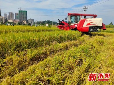 喜报!全国农业现代化示范区名单公布!衡阳县榜上有名!